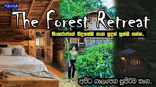 A heavenly place to spend a night at Deniyaya | The Forest Retreat | MADDA Travel Vlog #16