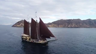 Cruising and Diving Komodo National Park - Adelaar - Exclusive Liveaboard Indonesia #1