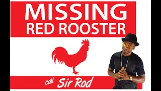 Little Red Rooster - Sir Rod Patterson