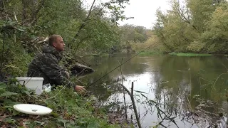 КАК ЛОВИТЬ НА ФИДЕР(ДОНКУ) В ОКТЯБРЕ на реке. Осенняя рыбалка в октябре.