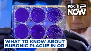 What to know about bubonic plague in Oregon