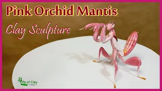 Sculpting Pink Orchid Mantis (Hymenopus coronatus)_Polymer Clay_Life of Clay