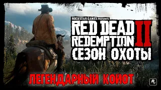 Red Dead Redemption 2 - ► Сезон охоты: Легендарный койот