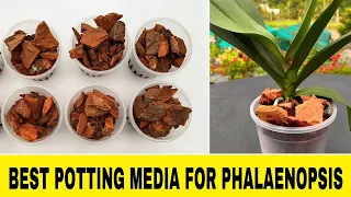 REPOTTING MEDIA FOR PHALAENOPSIS