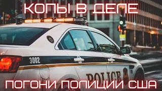 Копы в деле 🚓 Погони полиции США 👮 Пит-маневры 🚗 Задержания 🚔 Большая подборка