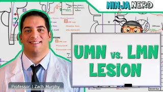 Neurology | Upper Motor Neuron vs Lower Motor Neuron Lesion | UMN vs LMN Lesion