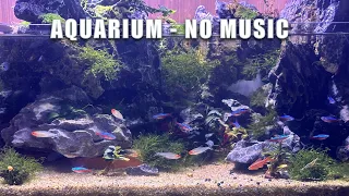 Relaxing Aquarium Fish Tank Sounds with water sounds. No Music - Aquarium Sounds For Sleeping