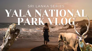 SRI LANKA SAFARI VLOG | An epic experience in Yala National Park