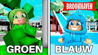 VERSTOPPERTJE In 1 KLEUR In Brookhaven! (Roblox)