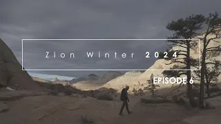 Photographing Zion, Winter 2024: Episode 6