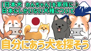 愛犬と楽しく生きるために自分合う日本犬種見つけよう