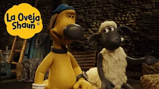 La Oveja Shaun 🐑 Cine en el Granero 🐑 Dibujos animados para niños