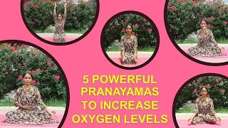 5 Powerful Pranayamas To Increase Oxygen Levels Naturally | 5 Most Effective Breathing Exercises