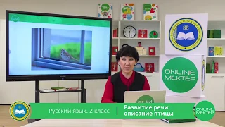 2 класс. Русский язык. Развитие речи: описание птицы. 24.04.2020