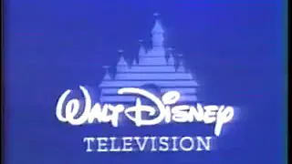 Walt Disney Television(w/ABC)(NaQis&Friends)(Winnie the Pooh)(2001)