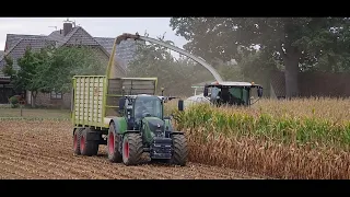 mais hakselen 2022 | Harvesting maize | Claas Jaguar 960 | Fendt vario 724 | Fendt vario 720