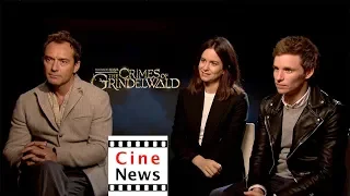 Grindelwalds Verbrechen – Interview: Jude Law, Katherine Waterston & Eddie Redmayne