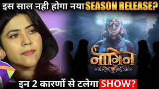 Naagin 7: Due To These 2 Big Reasons New Season Will Not Launch This Year ?