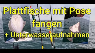 Plattfische mit einer Posenmontage fangen. + Unterwasseraufnahmen