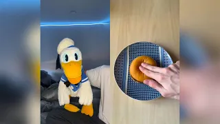 Donald Ducc FUNNY SATISFYING TikToks 2 (DONT LAUGH CHALLENGE)