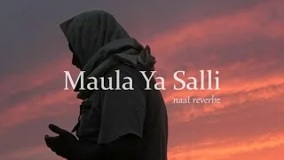 Maula Ya Salli Ft. Sami Yusuf Qasida Burda Shareef (Slowed + Reverb)