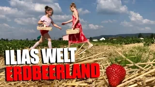 ILIAS WELT - Erdbeerland!