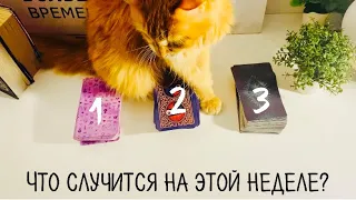 Что Вас ожидает на этой неделе?🤩Таро💎Книги судьбы