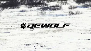 Велосипеды DEWOLF 2021 года!