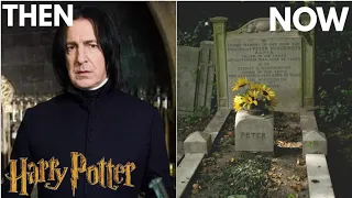Harry Potter  | |  Then vs Now (2001 vs 2022)