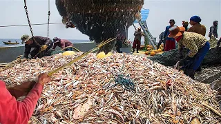 Net Fishing, Big Fishing Catching Hundreds Tons Fish - Trawling Boat lot of fish Catch in deep sea