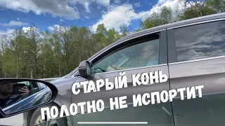 Альфа-бидрилла учит жизни🐝