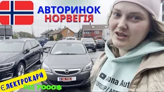 💎 Норвегия автоподбор. Осмотр Nissan Leaf за 7000$ под ключ. Какие авто пригонять с Норвегии в 🇺🇦