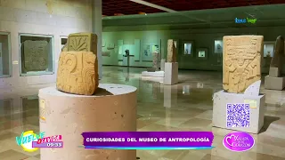 ¿Conoces el museo de Antropología?