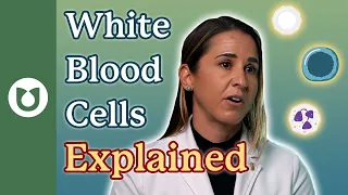 What are white blood cells? #AML