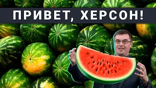 Майдан подорвал животноводство Украины. Как работает колониализм в 21-м веке.