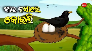 Kau Basare Koili || Odia Moral story || Odia Gapa