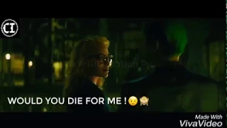 Harley Quinn love joker | safari | Whatsapp status