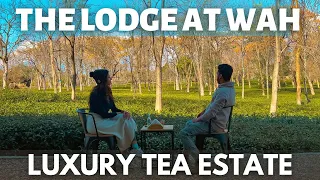 THE LODGE AT WAH -  India's Finest Mountain Homestay In a Tea Estate