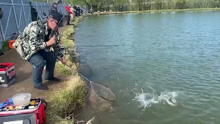 Зелёный берег. Лобня Луговая.