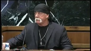 Hulk Hogan: I Didn't Use Sex Tape For Publicity, It Flipped My World