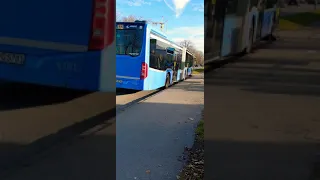 MVV MVG Bus Bayern München , münih belediye otobüsü , munich city bus autobús