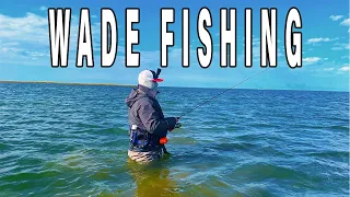 *EASY LIMIT* Wade Fishing & Catching Too Many Fish! Speckled Trout, Redfish, Flounder