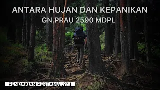 PENDAKIAN PERTAMA??!! Gunung prau via dwarawati // kepanikan saat hujan #gunungprau #pendakigunung