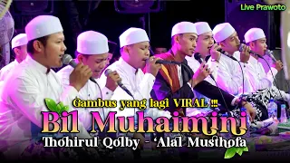 GAMBUS PALING DICARI ‼️BIL MUHAIMINI - THOHIRUL QOLBY - 'ALAL MUSTHOFA 😱 KALI INI TEMPONYA BEDA