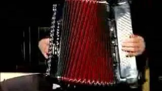 Professor Louie's Rock & Blues Accordion