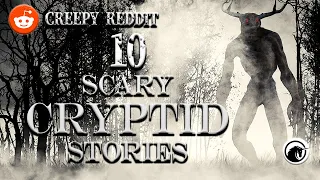 10 gruselige Reddit-Cryptid-Begegnungen: Cryptids-Episode 1:6