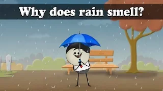 Why does rain smell? | #aumsum #kids #science #education #children