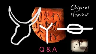 Q&A #2 | Proto-Sinaitic vs. Paleo Hebrew, How We Study Hebrew Online, and more