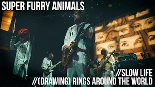 Super Furry Animals - "Slow Life" and "(Drawing) Rings Around The World" Live