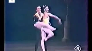 Don Quixote pas de deux  Altynai Asylmuratova Alexander Kurkov